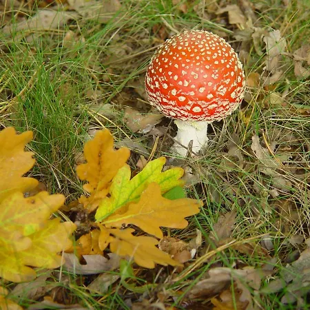 Park De Haeghehorst *