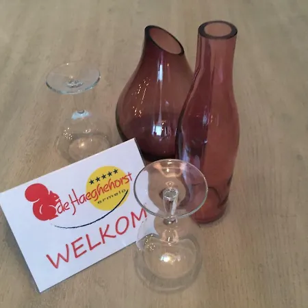 Park De Haeghehorst Ermelo