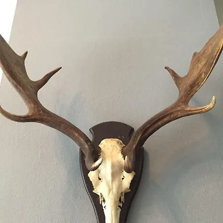 Park De Haeghehorst Parque de vacaciones *