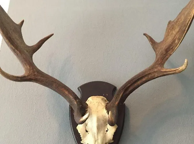 Park De Haeghehorst Vakantiepark *